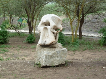 Afrika_078