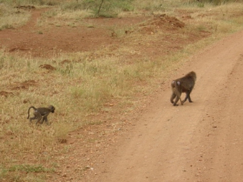 Afrika_325