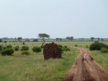 Afrika_246