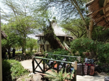 Afrika_148