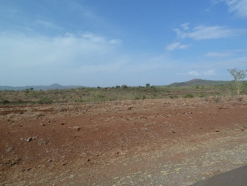 Afrika_017