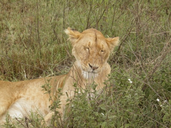Afrika_298