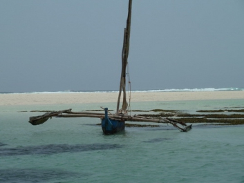 Afrika_268