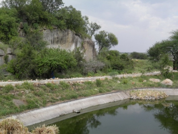 Afrika_323