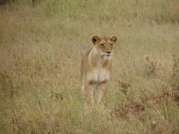 Afrika_310
