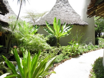 Afrika_279