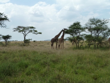 Afrika_200