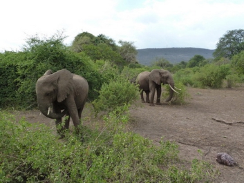 Afrika_012