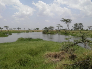Afrika_338