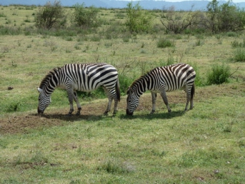 Afrika_170