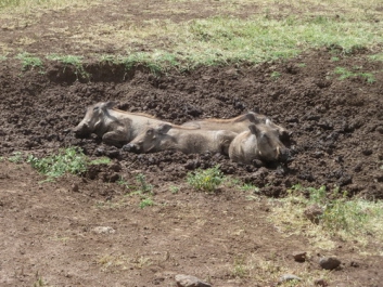 Afrika_172