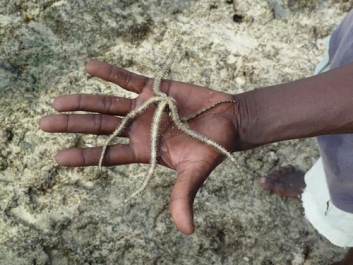 Afrika_104