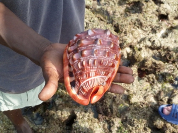 Afrika_109
