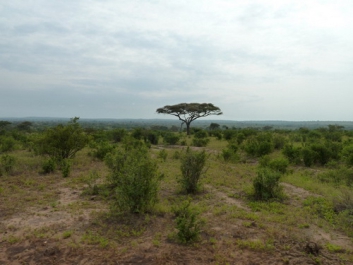 Afrika_248