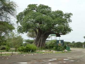 Afrika_240