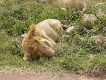 Afrika_292