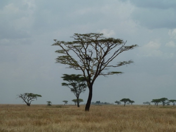 Afrika_224