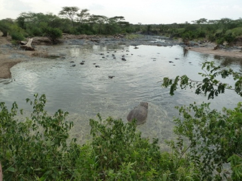 Afrika_059