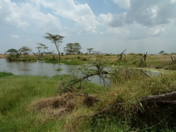Afrika_225