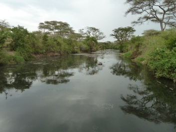 Afrika_203